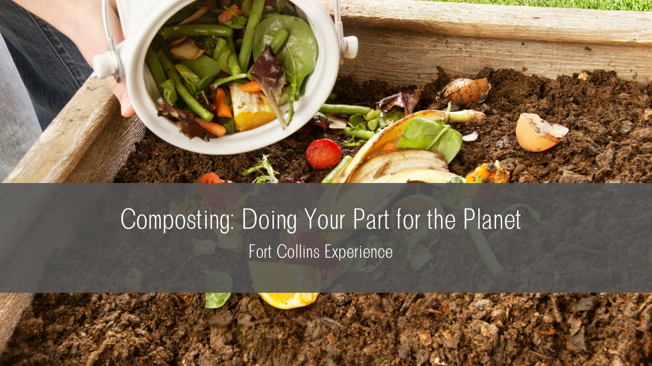 Composting: Doing Your Part for the Planet - Fort Collins Experience